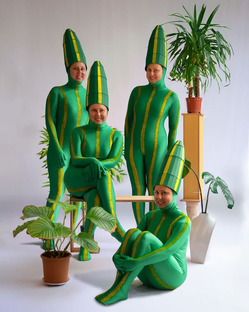 Anne Kolbe Sanseveria Sisters