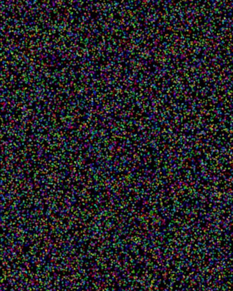 Par Lines front dots1 klein