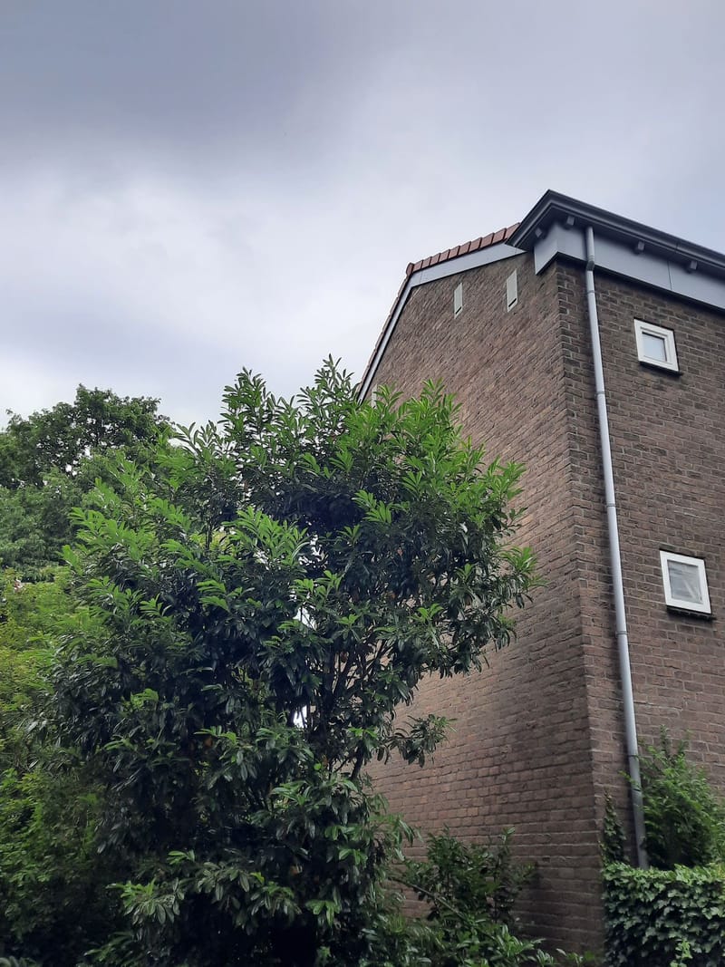 Eksterlaan
