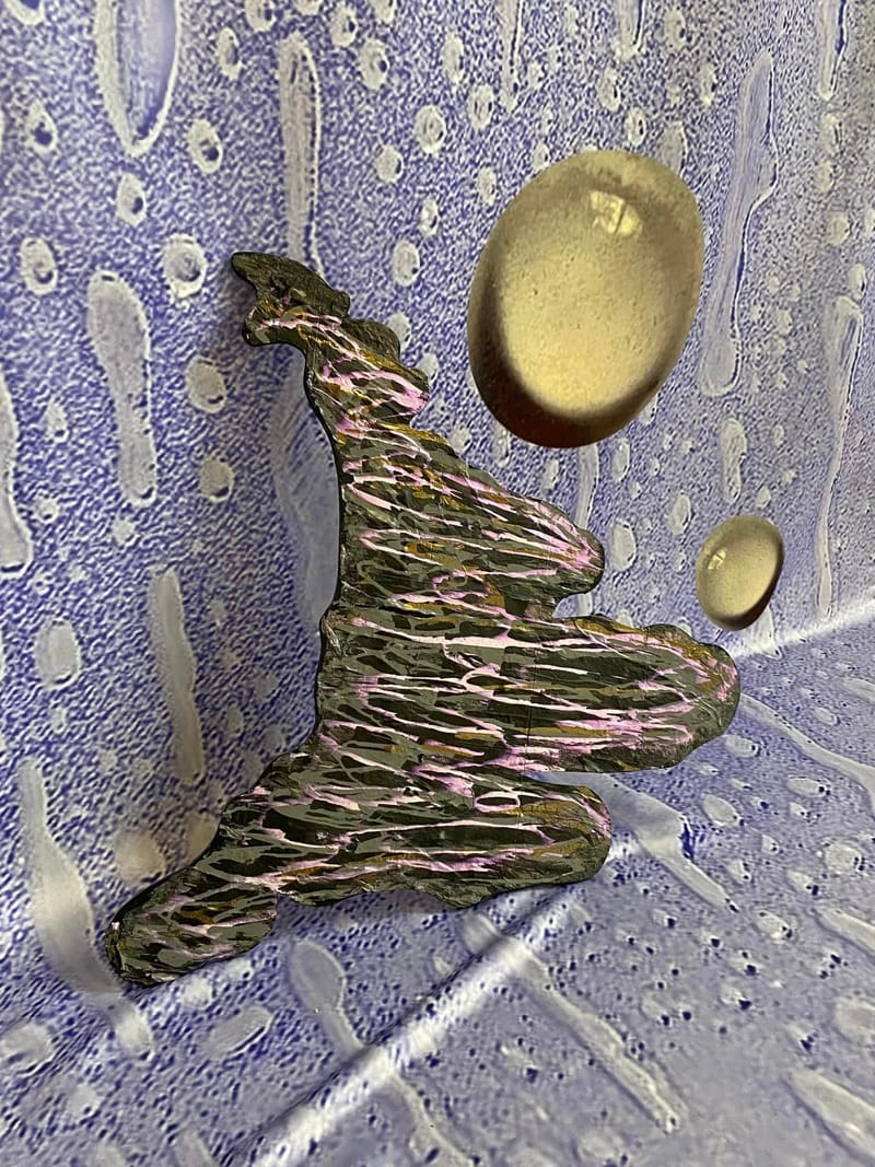 335489314 202039082512422 1494595055046806848 n