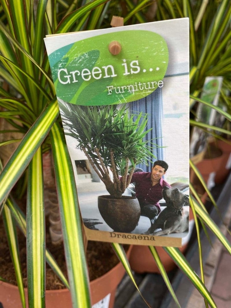 Anne Kolbe thumbnail Plantenkaart