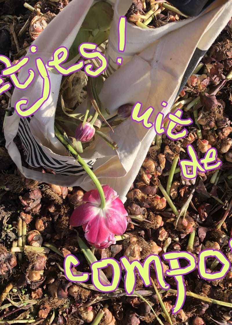 Muddy Club of Free Range (Rouge) Tulips