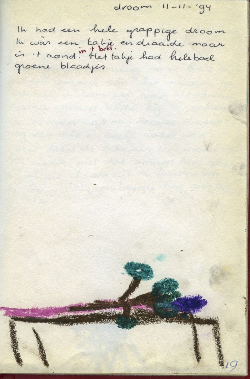 Beeldvoorflyer Sanne4 klein