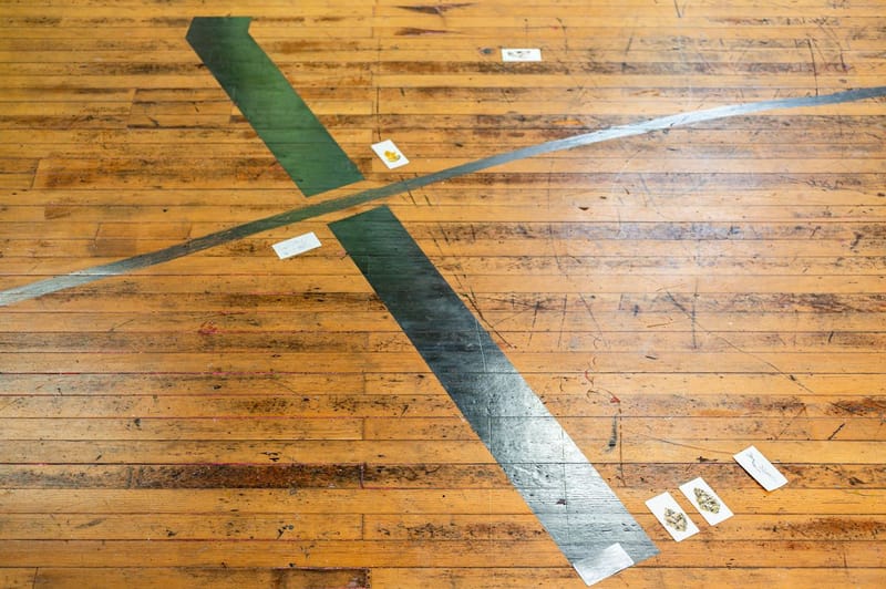 TPJ Lvd B 37 PK web 02