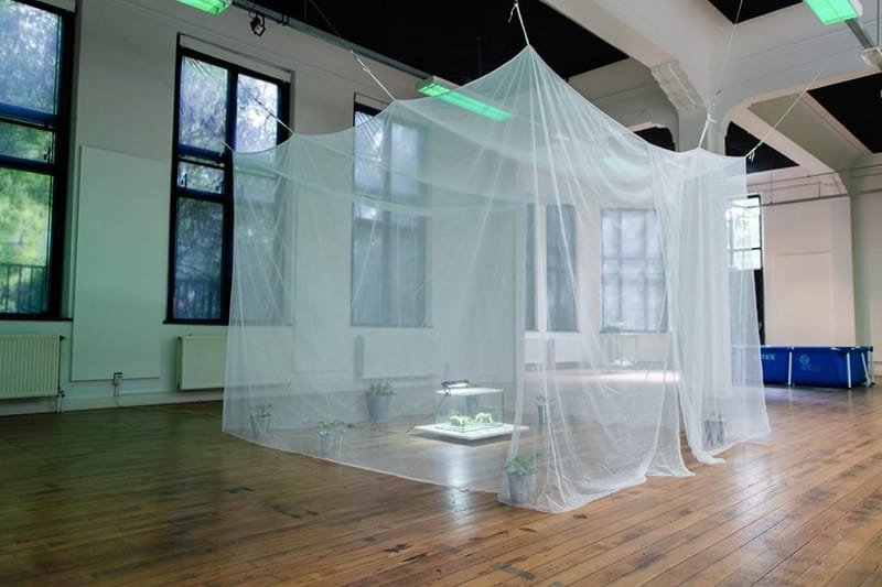 Mika Rosenberg Empathy Box23