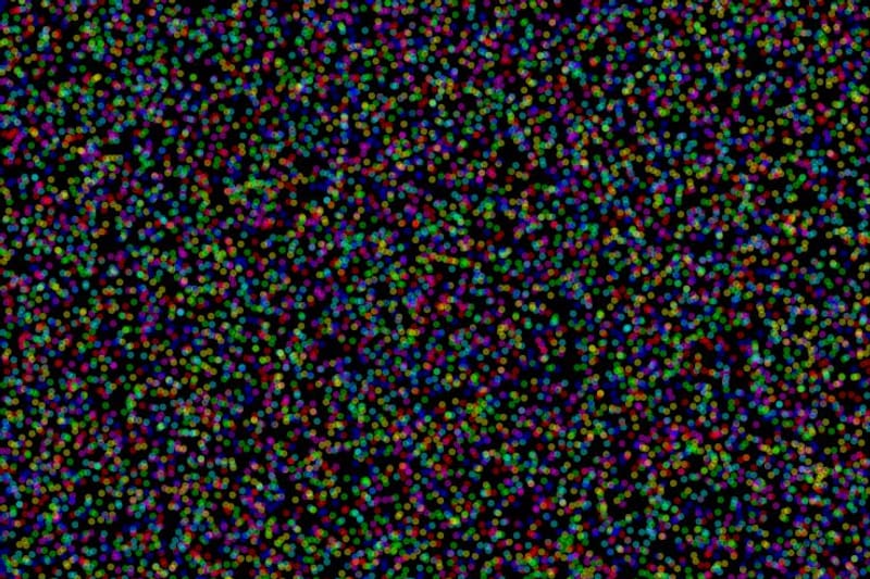 Par Lines front dots1 klein