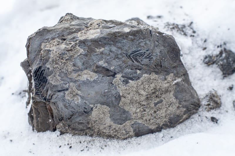 Beeldvoorflyer Sanne2 klein