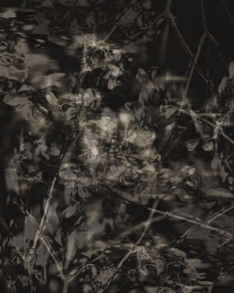 André Evers 37 PK 2