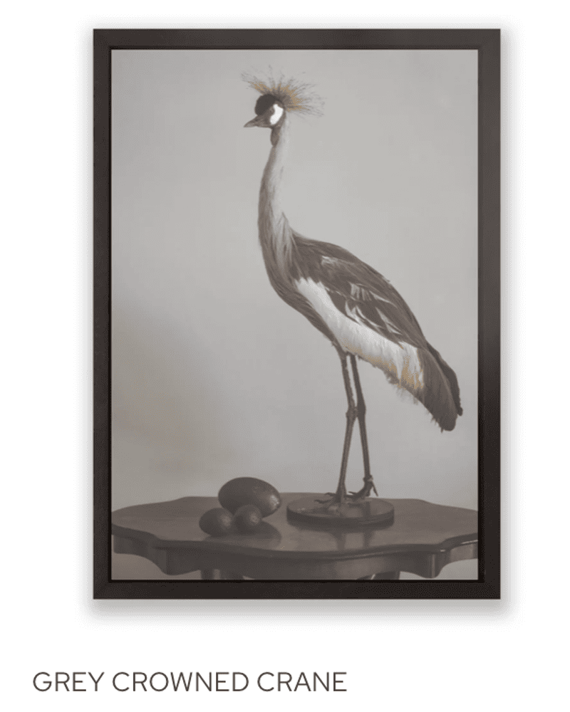 Scherm afbeelding 2026 02 20 om 16 12 00