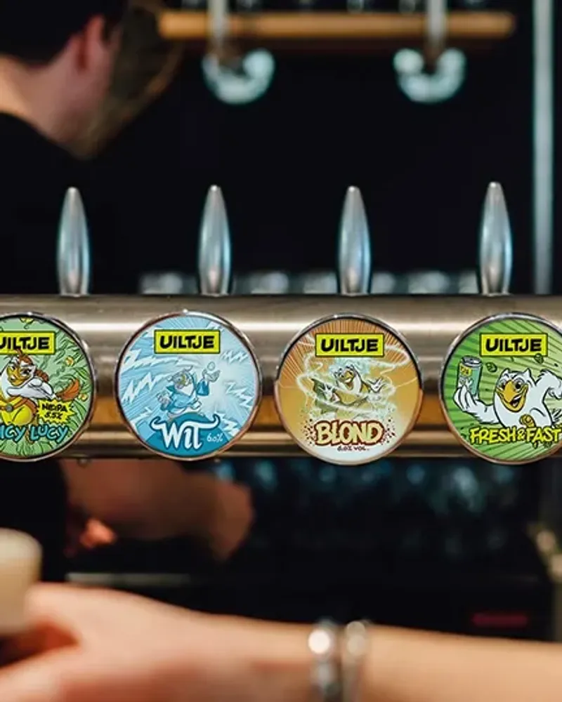 FTP Portfolio Taplenzen Thumbnail