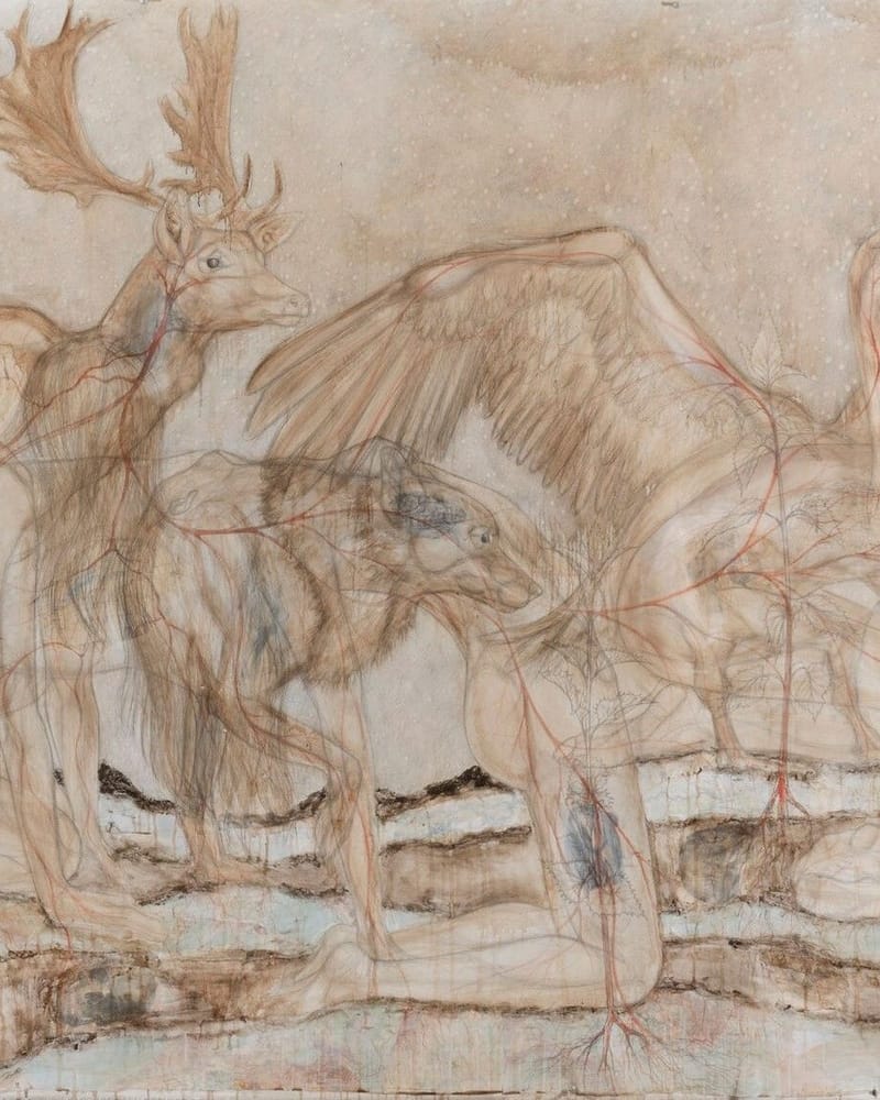 1 Emma van Drongelen Metamorphosis