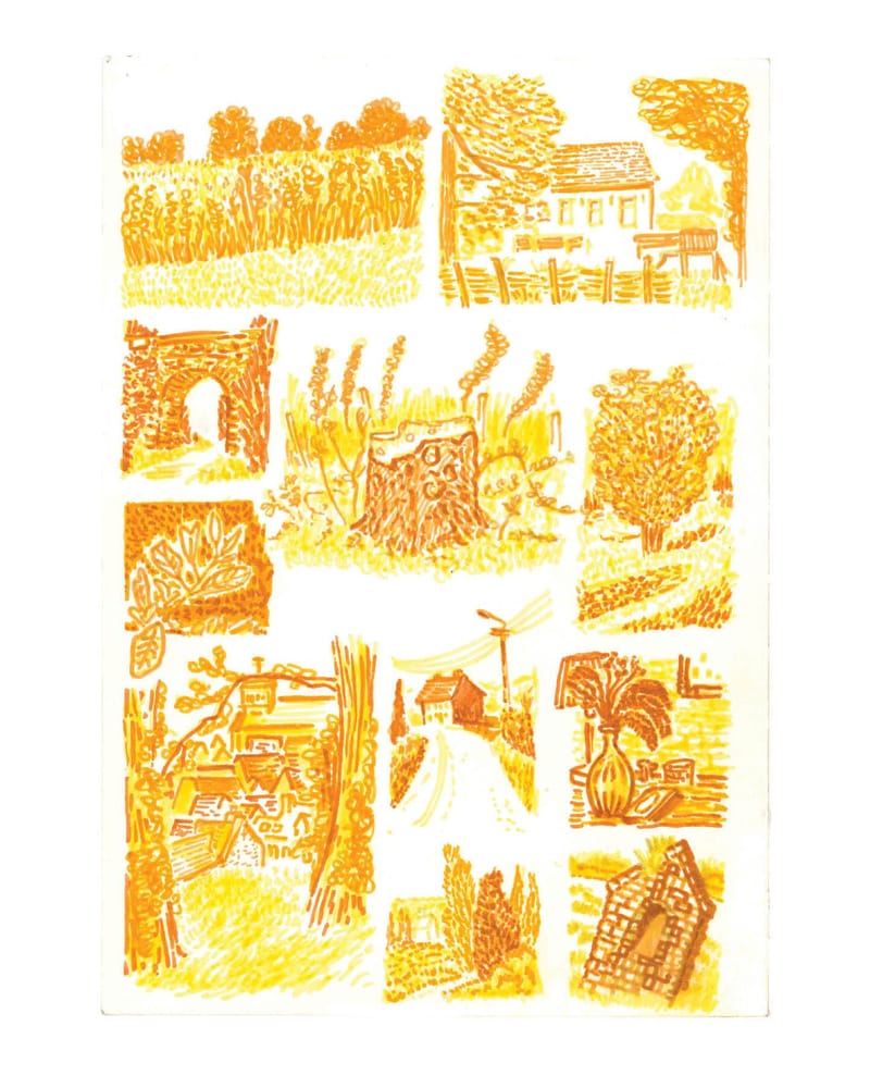 #5