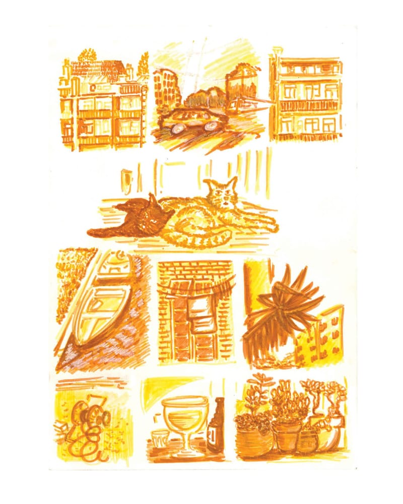 #6