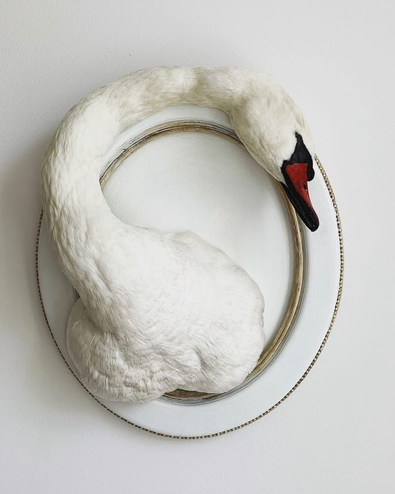 BE141 B55 1799 43 A1 BEBC 322574 DE8042