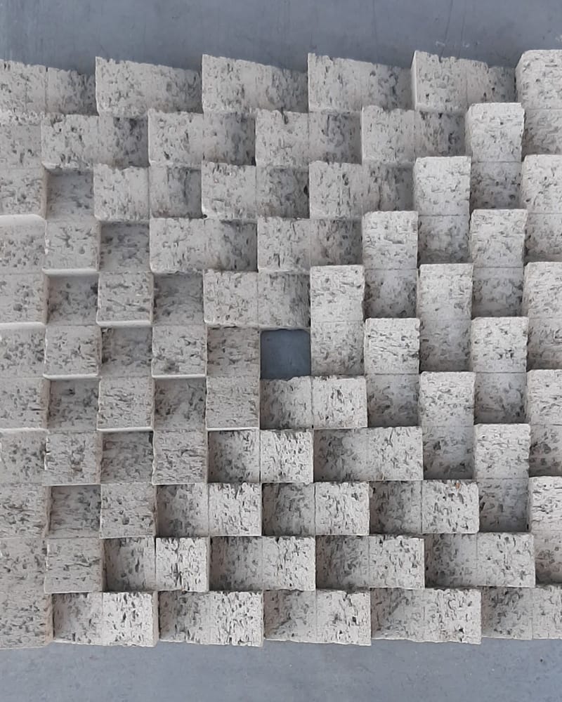 Paulvan Zijp 3
