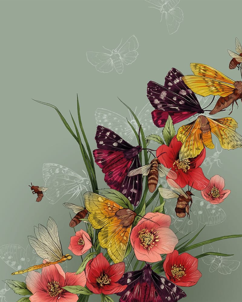 La Scarlatte Pauline Teunissen New Scientist Biodiversity Moths Bees portfolio1500px