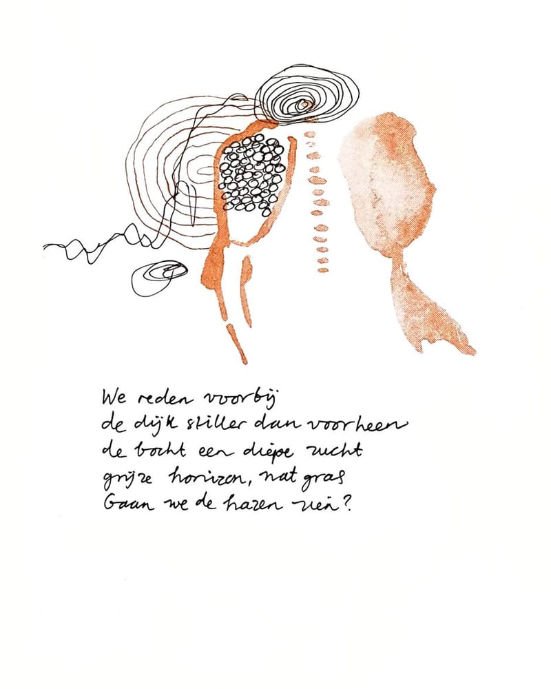 Gaan we de hazen beeldgedichtsandradeweijze
