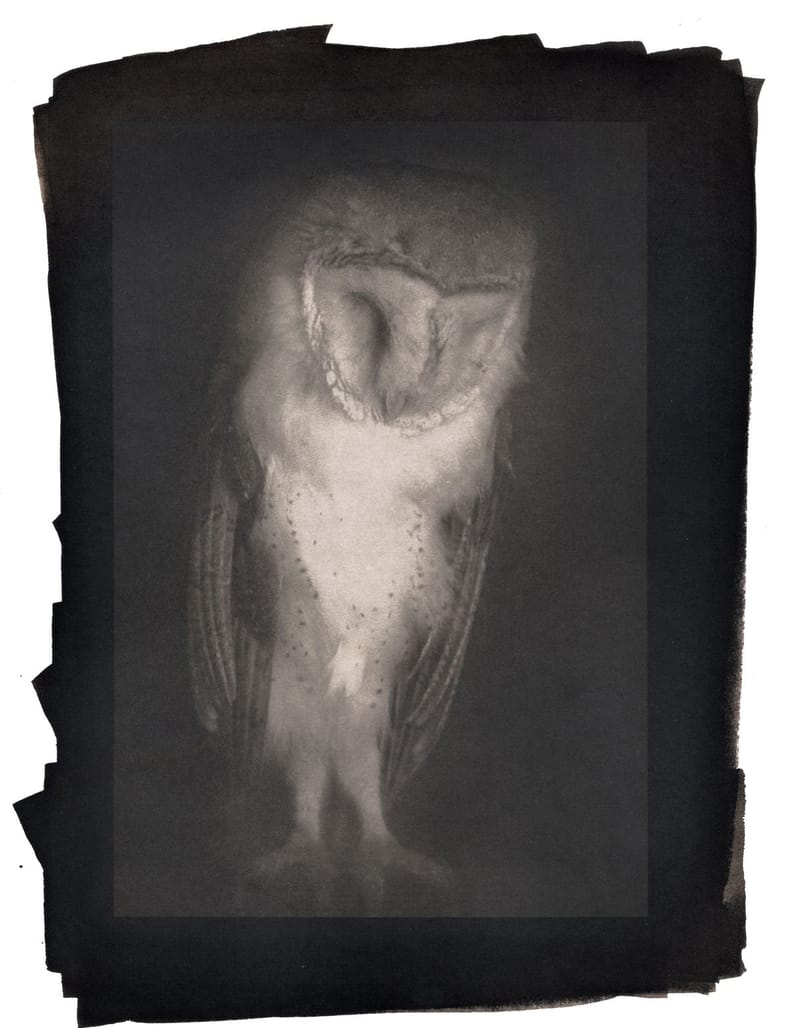 Untitled Panorama 16