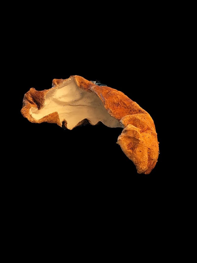 Shelter me, sculptuur (100x40x60 cm)