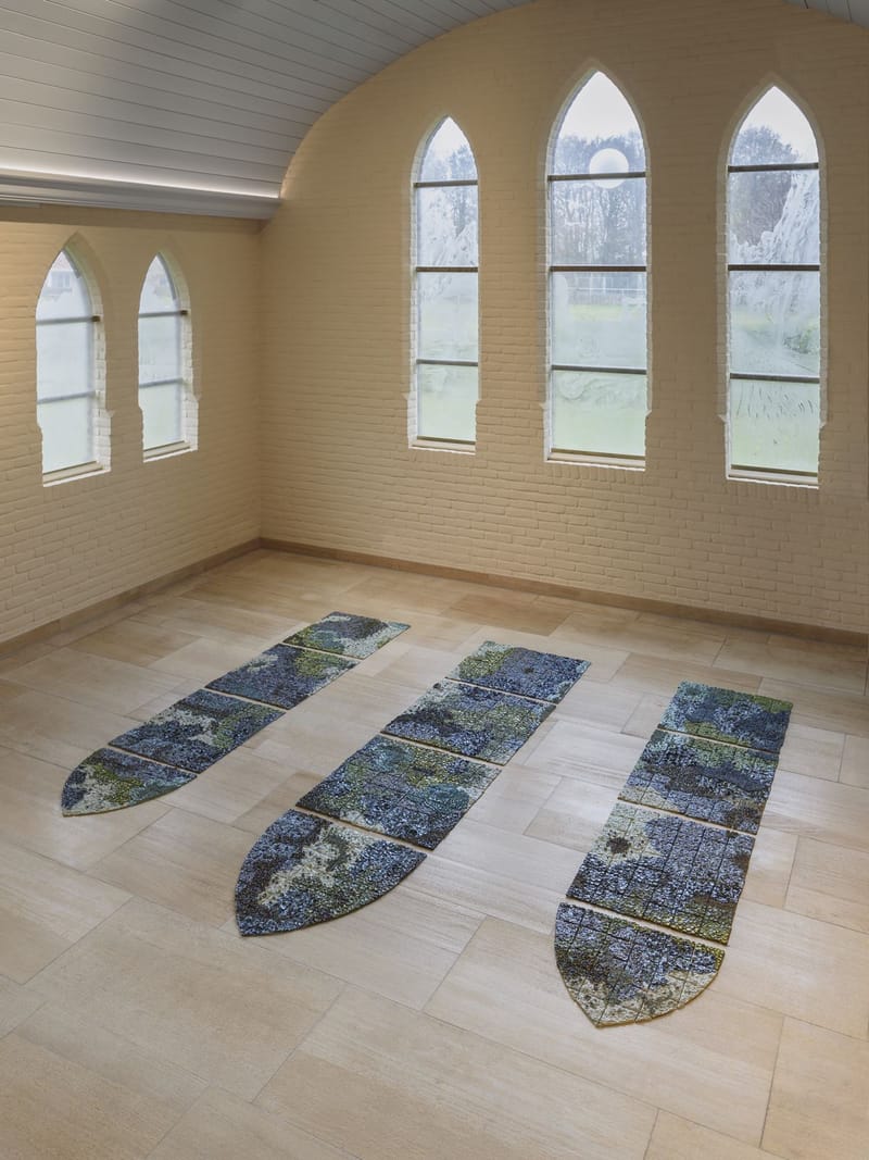 For the love of Lichen, Ameland