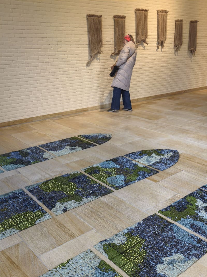 For the love of Lichen - Ameland