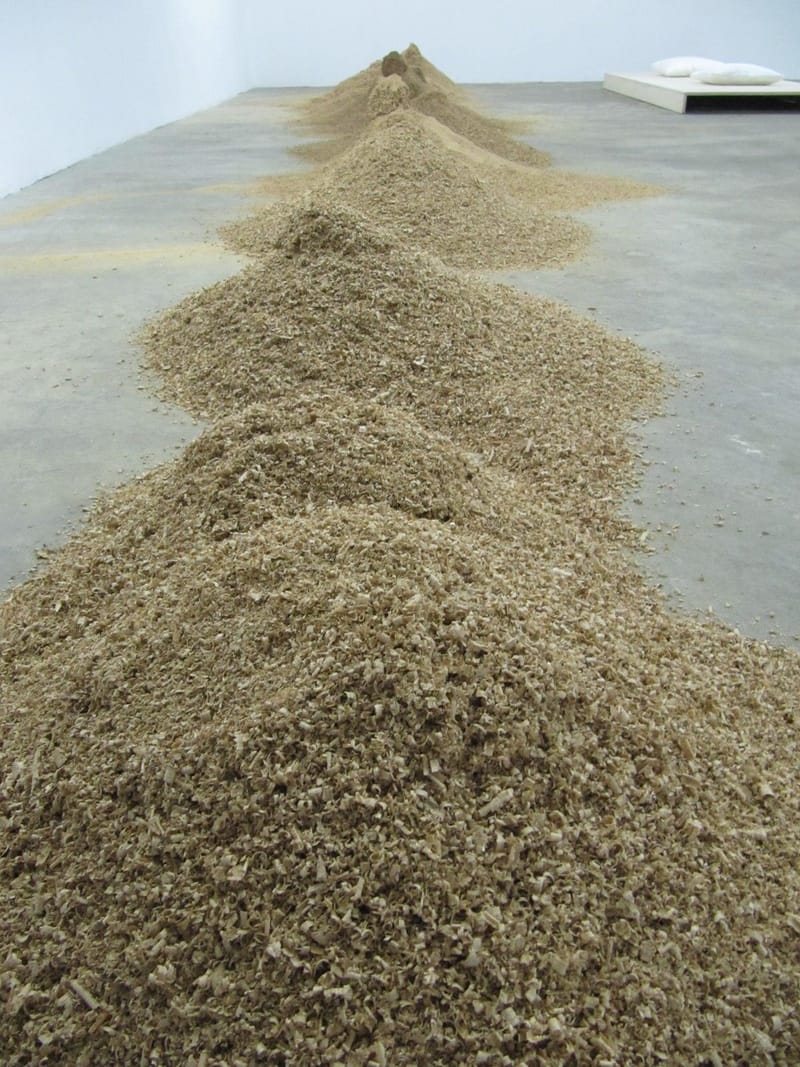 cityZen still performance