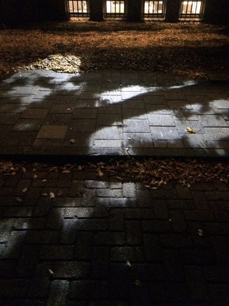 @ Oosterpark Amsterdam