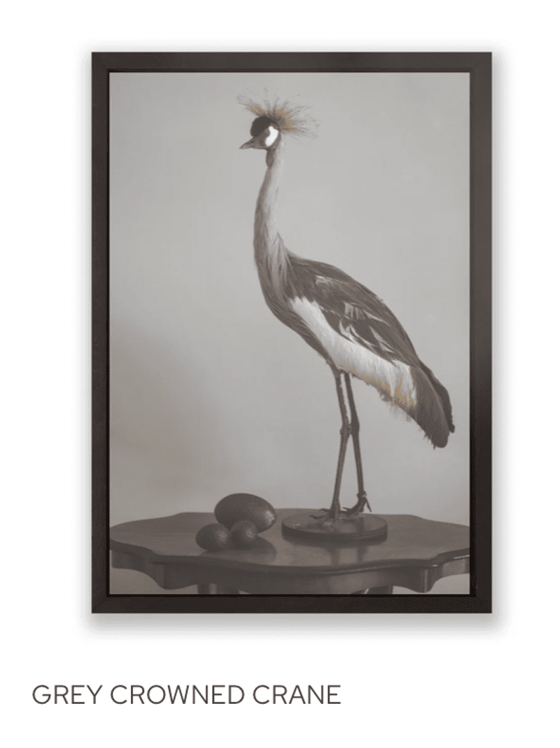 Anouk De Kleermaeker