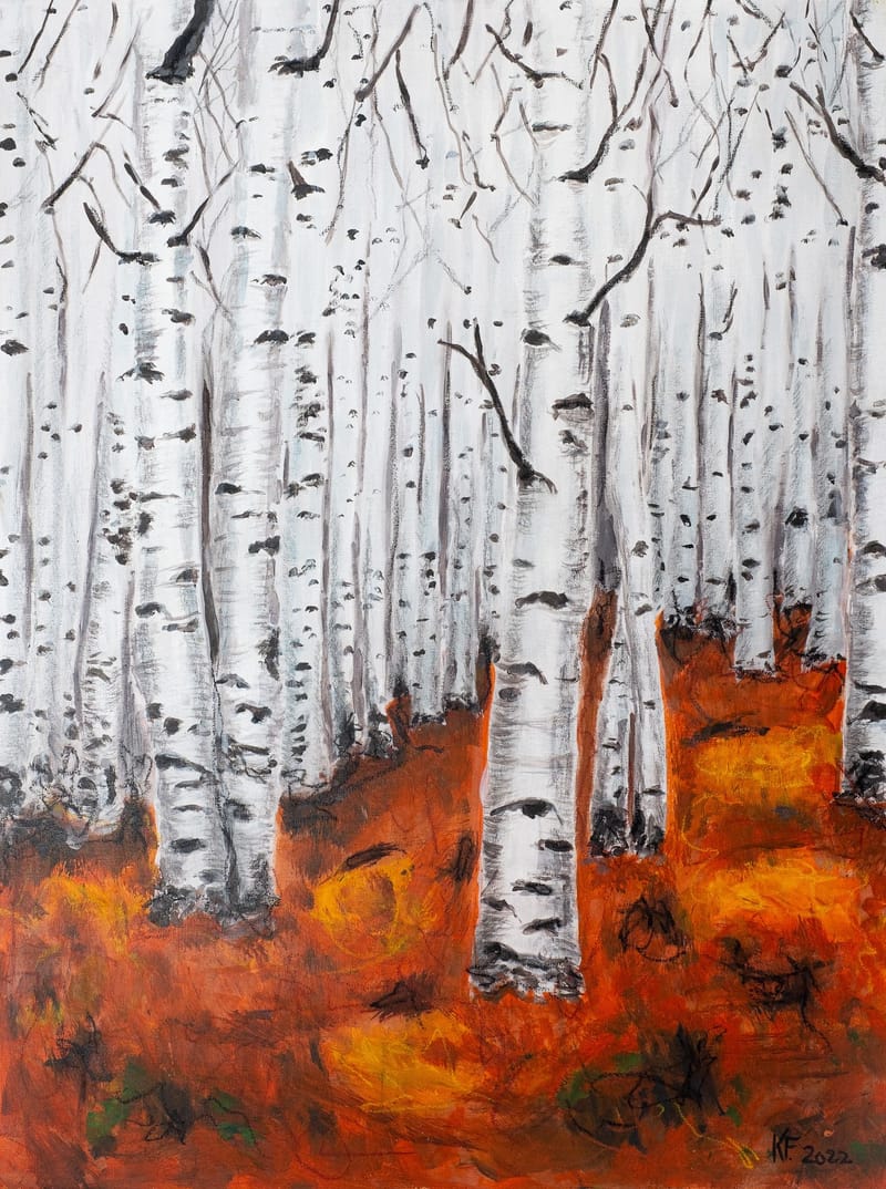 Birch Forest in Winter