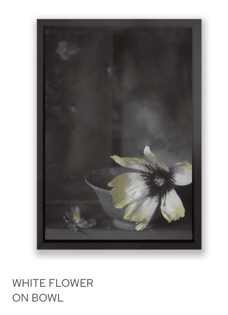 Scherm afbeelding 2026 02 19 om 15 28 52