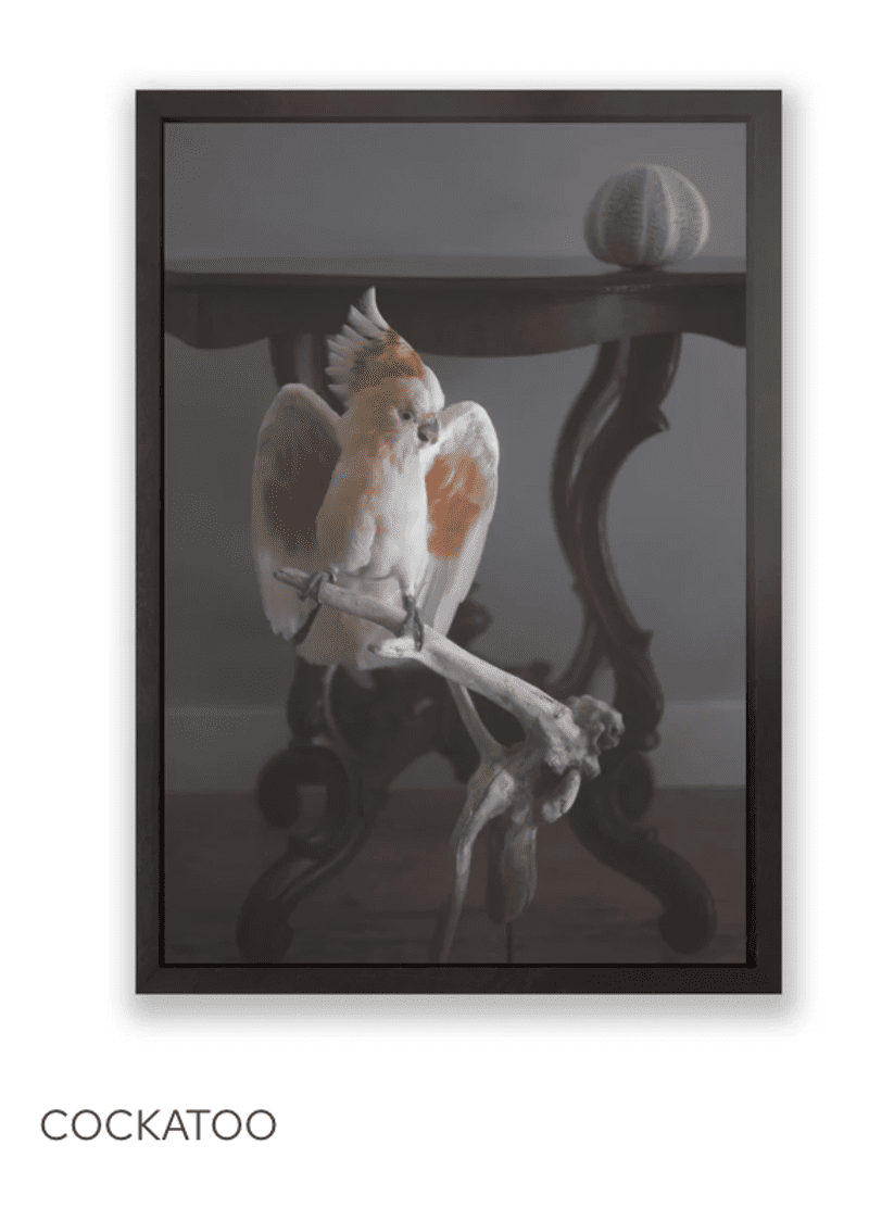 Scherm afbeelding 2026 02 19 om 15 27 59