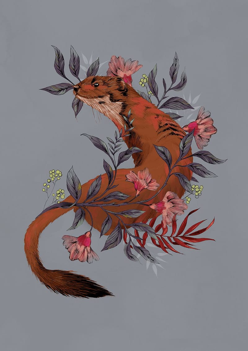 "Stoat in Foliage" - Persoonlijk werk