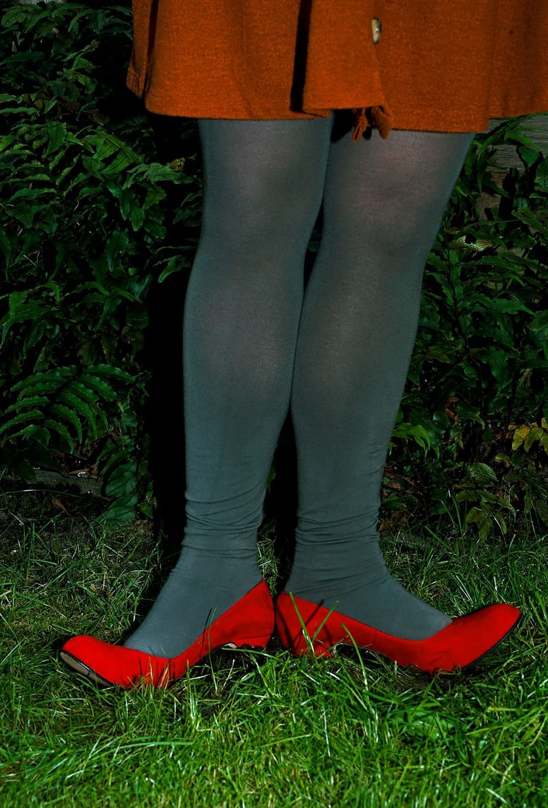 Lichtmeisje en het paard #1