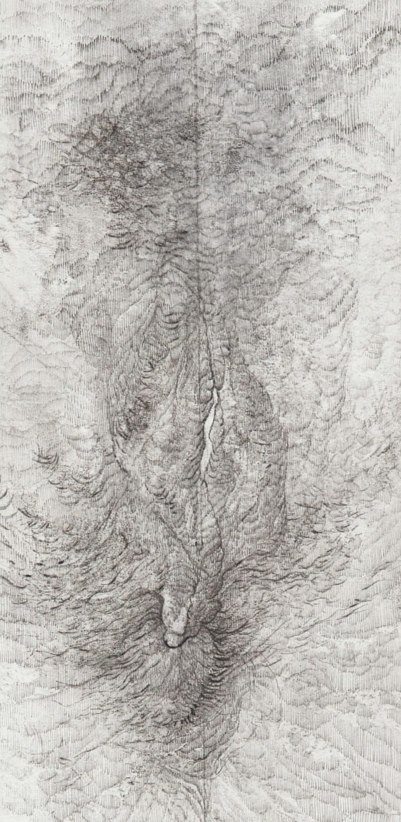 New pictures of the spring 1