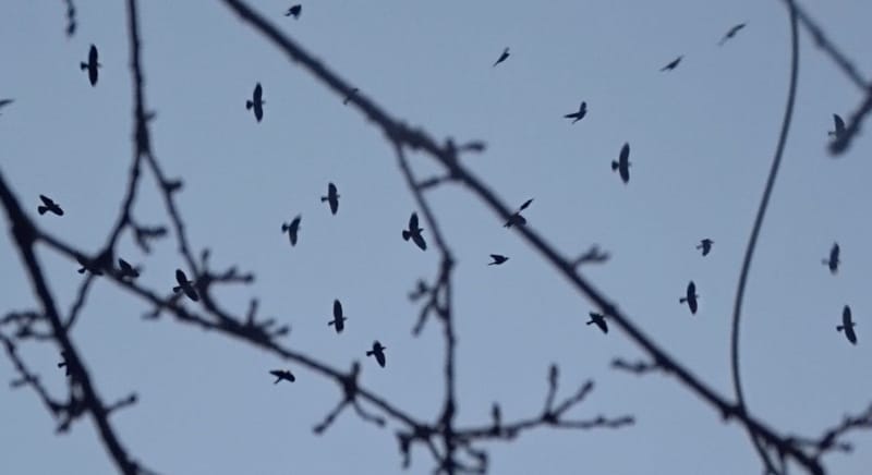 9 Screenshot film Balance