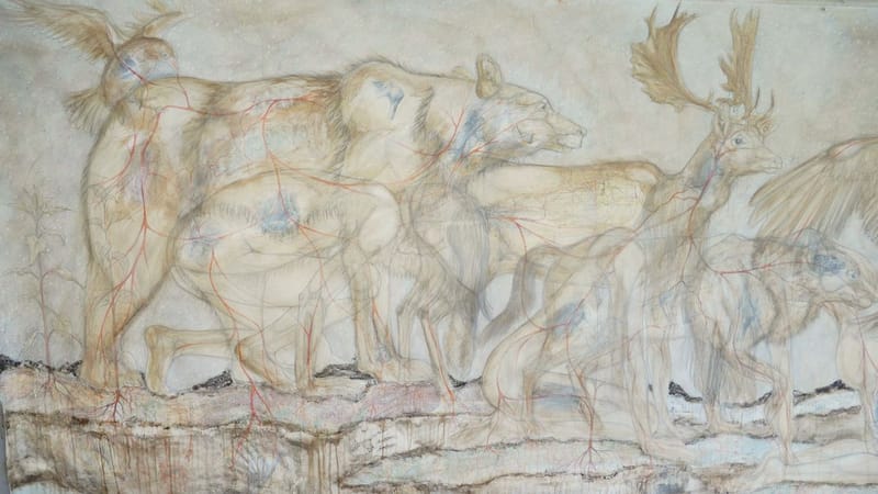 Metamorphosis detail