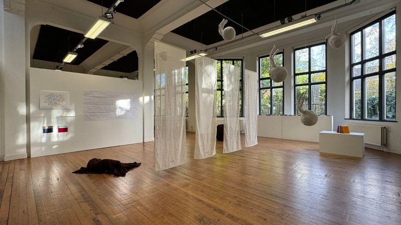 Overzicht "Huis van Pijn" II, 37 PK Haarlem, 2024