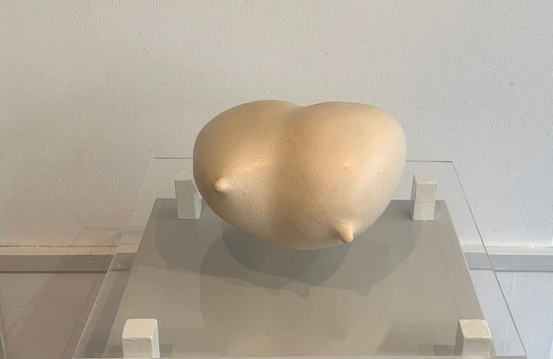 Uit de serie Adorables/ troostobjecten