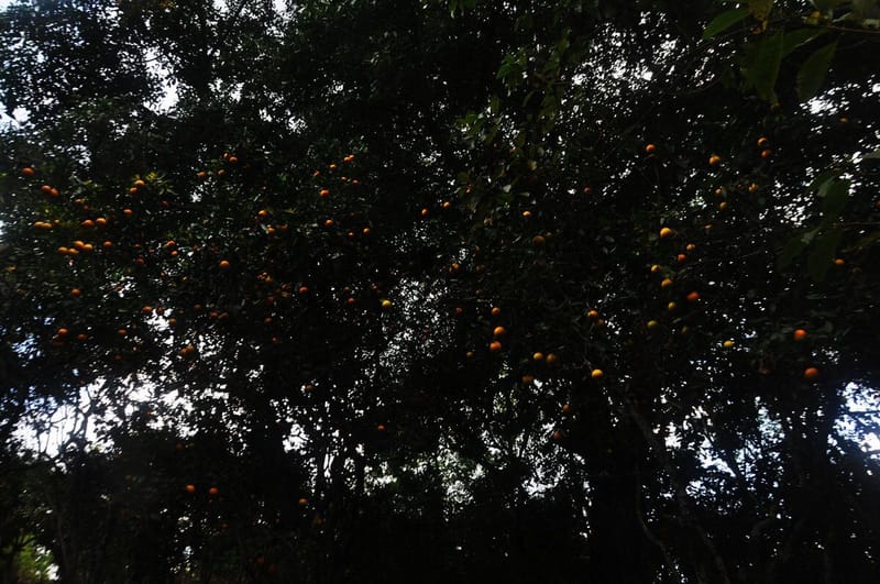 Constellation. 2020. Photo series