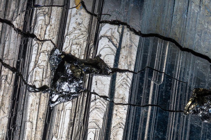 Land of the Little - Little One