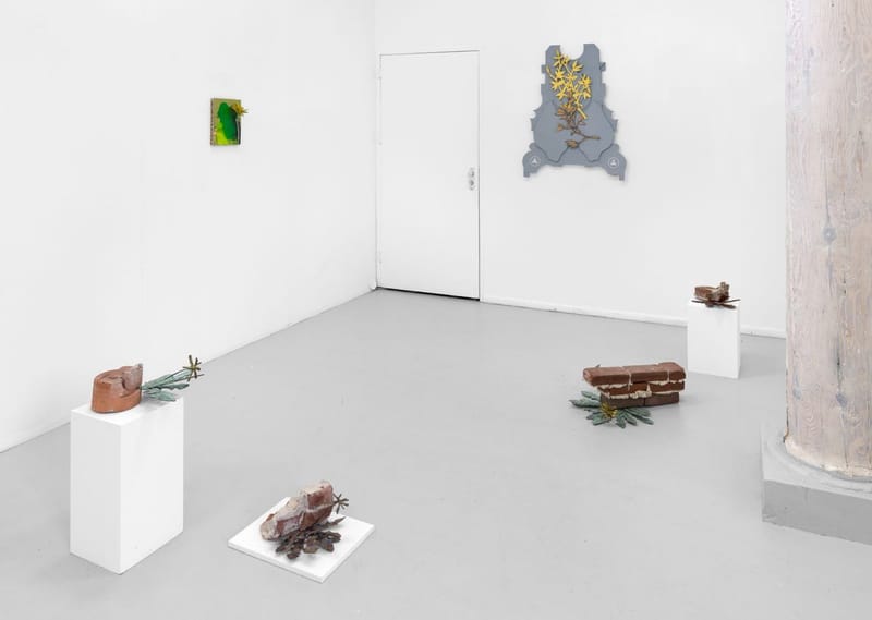 HV Stefan Kasper Disco Dandelions 2023 004