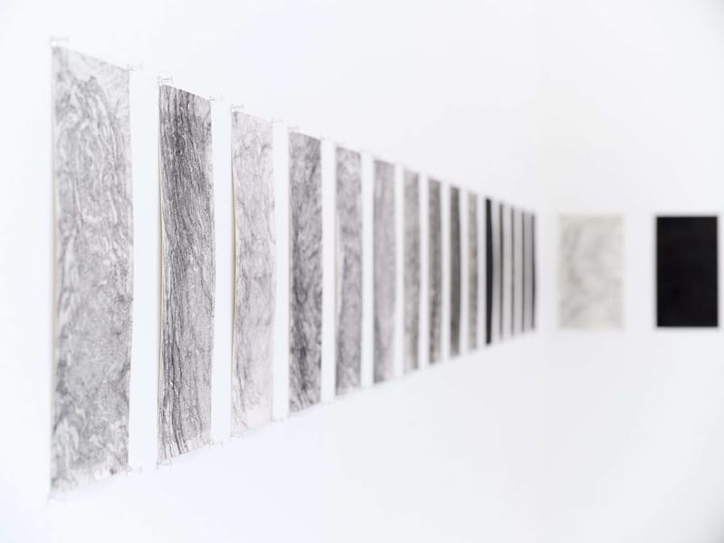 2026 09 15 Horizonverticaal Florence Marceau Lafleur Eigengrau LOW RES 112