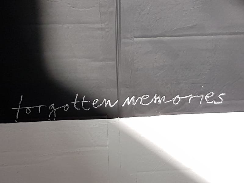 forgotten memories  detail