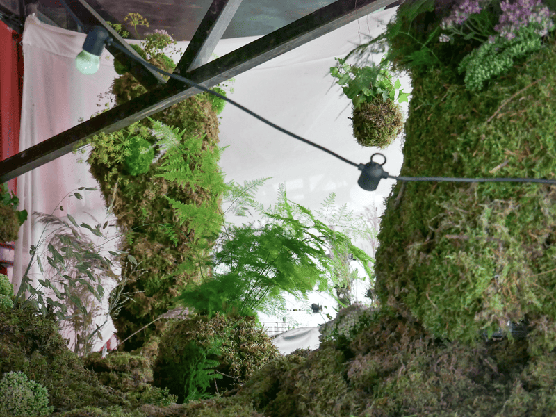 'Parade is Paradise' 2024