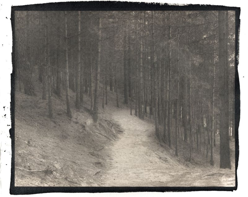 Untitled Panorama 17