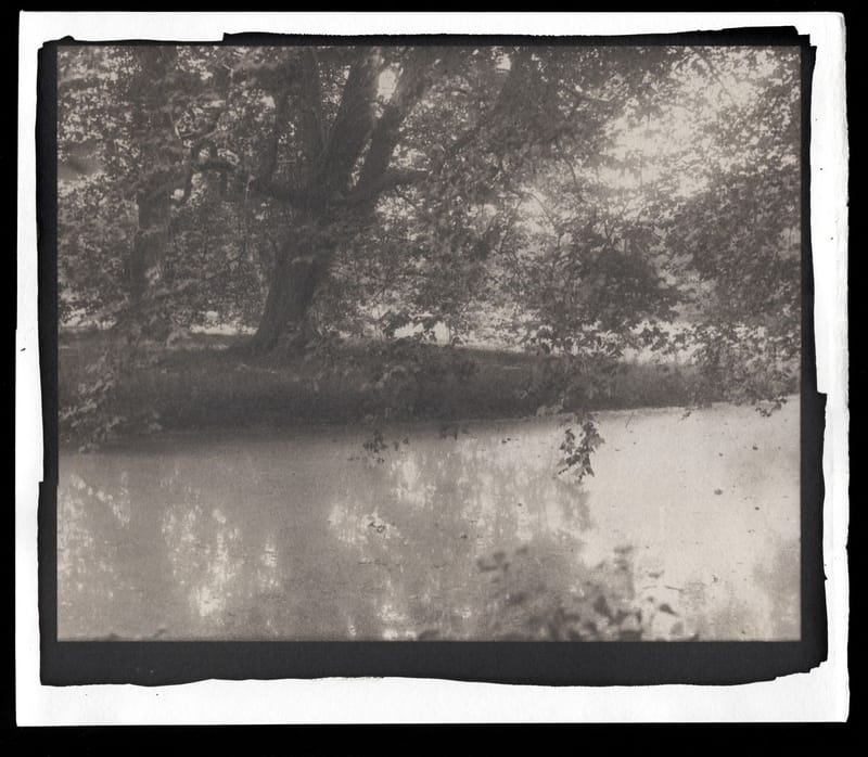 Untitled Panorama 19