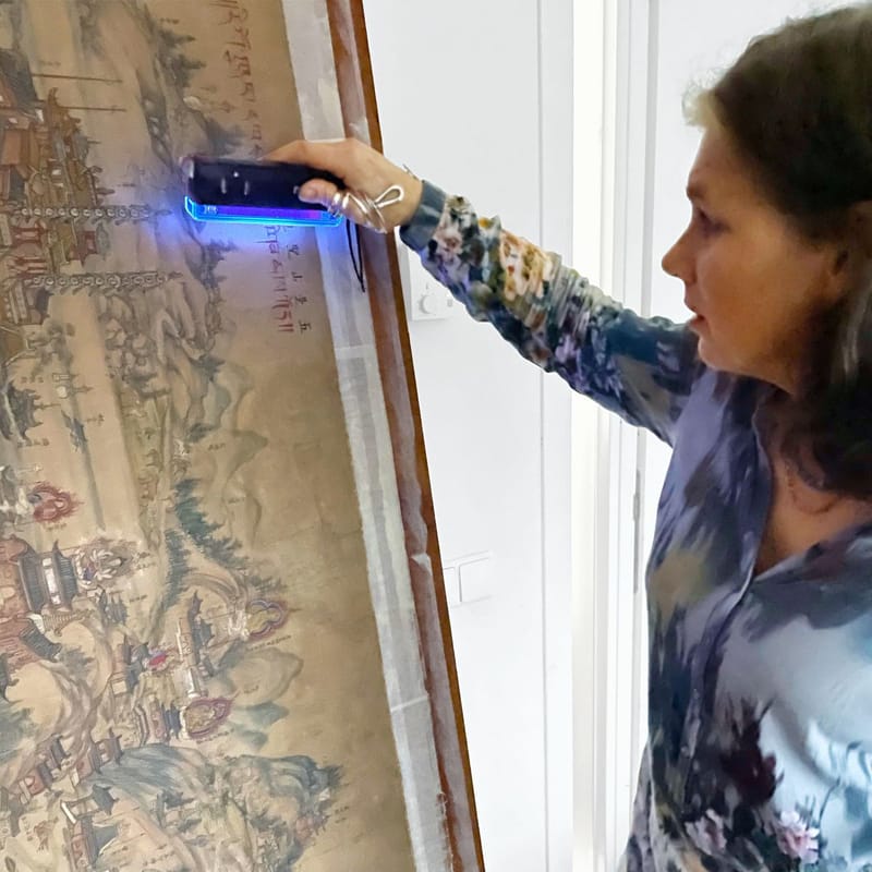 Schadeonderzoek Chinese schildering