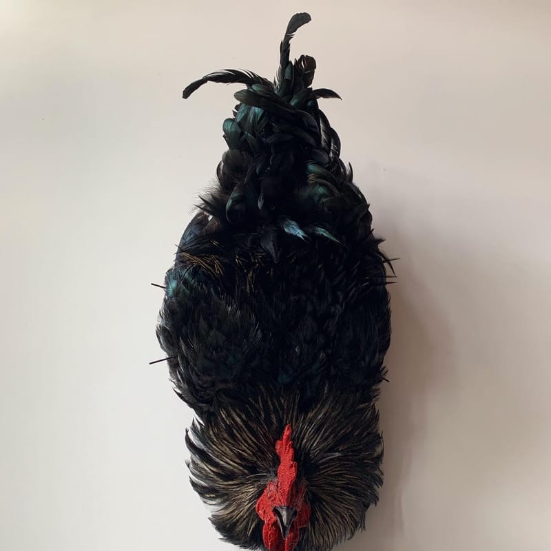 4 BC9799 D 7591 46 A1 BD52 0 CB4828 BD2 C2