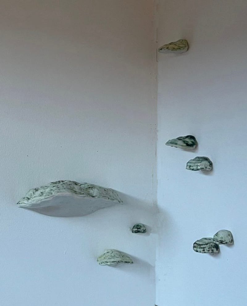 Tondelzwammen. Porselein 2024