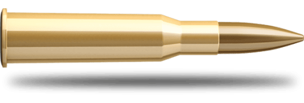 Büchsenpatrone Sellier & Bellot FMJ 180grs 11.7g 7.62x54R - VE 50 Schuss, Bild 1
